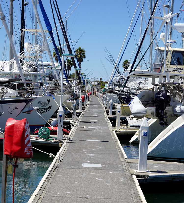 Walkway through a line of boats and yachts at Tauranga Marina, Bay of Plenty, New Zealand, with blue skies and palm trees in the background.